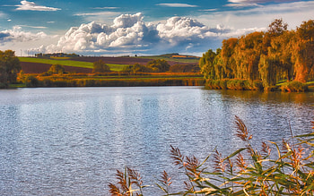 Lake, clouds, autumn, reeds HD wallpaper