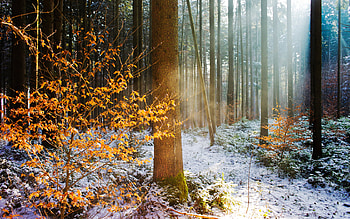 Landscape, Nature HD wallpaper