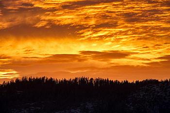 Nature, Trees, Sunset, Clouds, Silhouette HD wallpaper