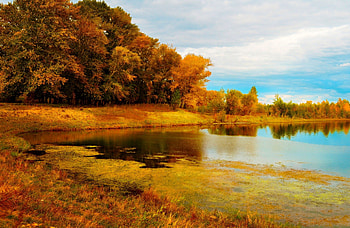 Autumn At The Lake, Fall, clouds, trees, autumn, sky, water, lake HD wallpaper