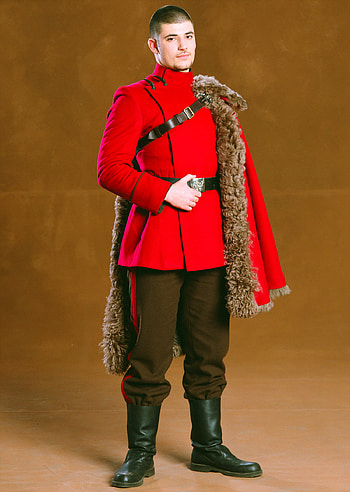 Viktor Krum, Character portrait, Harry Potter, Bulgarian Quidditch player HD phone wallpaper