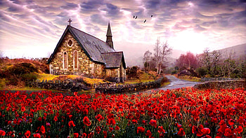 Church in Killarney, national park, red, ireland, red flowers, flowers, chruch, country, killarney, graphy HD wallpaper