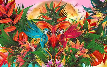 Parrot Colors, parrot, colors, graphics HD wallpaper