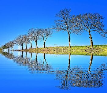 Row of trees near water, blue, graphy, lakes, pretty, row, , nature, water, rivers HD wallpaper