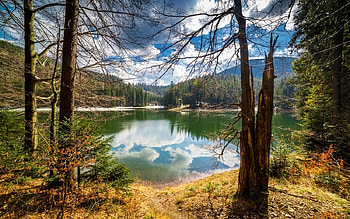 Lake, trees, sky, nature, mountain HD wallpaper