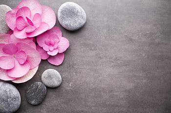 Pink flowers and stones, pink, grey, flower, texture, stone, card, rock HD wallpaper