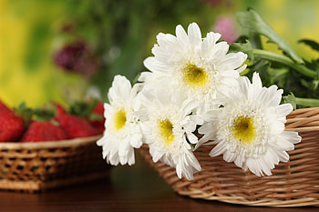 Bouquet, graphy, strawberries, beautiful, nice, basket, still life, flower, cool, fruit, flowers, , lovely, harmony HD wallpaper
