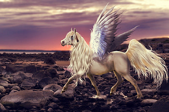 white beauty, pegusus, fantasy, mistical, arts HD wallpaper