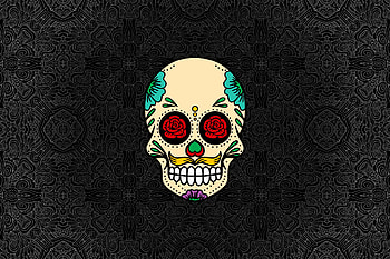 Skull Abstract Rose Flowers, skull, abstract, rose, flowers, artist, artwork, digital-art HD wallpaper