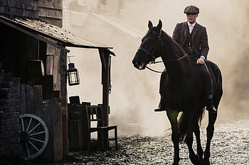 Peaky Blinders, Ultra , Thomas Shelby, Striking backgrounds HD wallpaper