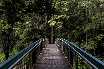 Nature, Trees, Forest, Bridge, Perspective, Prospect HD wallpaper