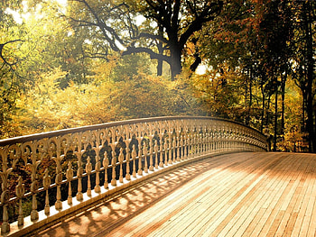Landscape, Bridges, Trees HD wallpaper