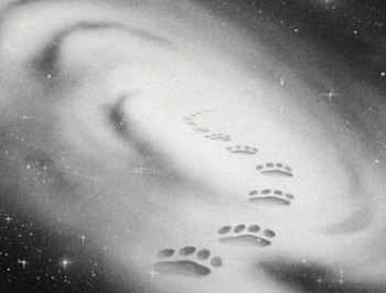 Galaxy of Paws, starclan, galaxy, pets, cats, space, nature, paws, warriors HD wallpaper