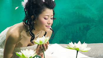 Asian Beautiful Girls, swiming pool, flower, green, cute, water HD wallpaper