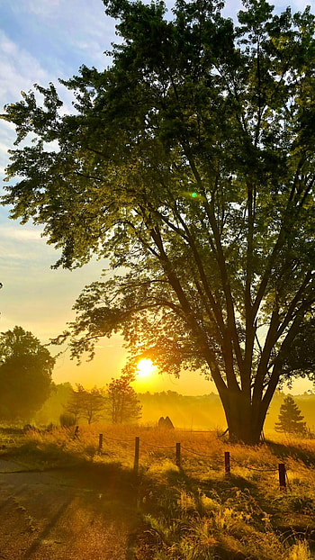 Nature, Sunrise, Top 20, Best HD phone wallpaper