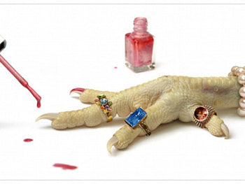 claws makeover, funny, interesting HD wallpaper