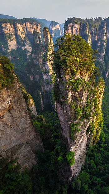 Avatar mountains, Zhangjiajie national forest park, China HD phone wallpaper