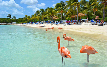 Aruba Island, Travels, , Scenic views HD wallpaper