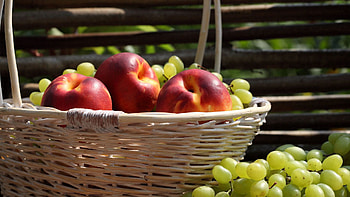 Food, Grapes, Peaches, Basket, Harvest HD wallpaper