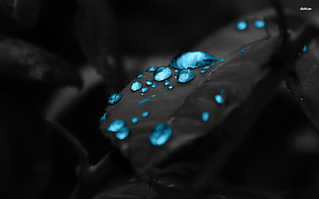 Dark Blue HD wallpaper