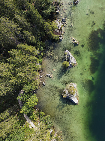 Nature, Trees, Rock, View From Above, Coast, Stone HD phone wallpaper
