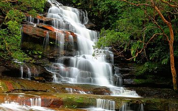 Waterfall, amazing, water, tree HD wallpaper
