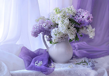 still life, abstract, graphy, vase, flowers HD wallpaper