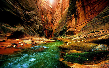 Nature, Rivers, Canyon, Greens, Moss, Gorge HD wallpaper
