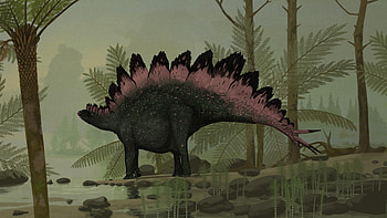 Stegosaurus stenops, John Conway, Paleontological reconstruction, Dinosaur depiction HD wallpaper