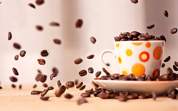Food, Coffee, Macro, Cup, Grains, Grain, Saucer HD wallpaper