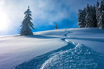 Austria's winter, landscape, winter, snow layer HD wallpaper