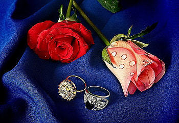 ROMANCE,FOR ALL LOVERS, rings, pink, roses, red HD wallpaper
