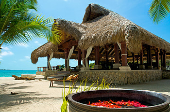 Nature, Beach, Palms, Summer, Tropics, Maldives HD wallpaper