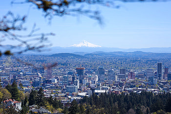Downtown Portland property owners, Developers, Bankroll, Elections HD wallpaper