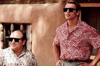 Danny Devito, Arnold Schwarzenegger, Movie earnings, Most HD wallpaper