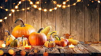 Thanksgiving holiday, Thanksgiving HD wallpaper