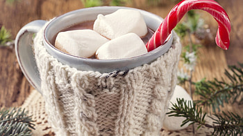 Candy cane, Marshmallow HD wallpaper