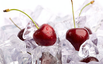 Cherries, summer, cherry, red, fruit, water drops, ice HD wallpaper