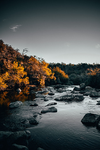 Nature, Water, Rivers, Trees, Stones, Flow, Stream HD phone wallpaper