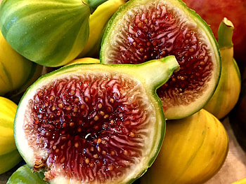 Variety of figs, Captivating fig , Fig tree beauty, Fig variety ideas HD wallpaper