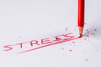 Close-up of a red pencil writing 'stress' on paper, symbolizing pressure and creativity. HD wallpaper