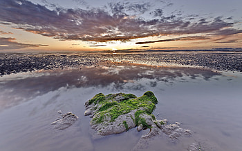 Nature, Water, Sky, Twilight, Clouds, Rock, Dusk, Stone, Evening, Moss, Reefs, Puddle, Low Tide HD wallpaper
