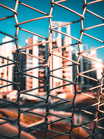 Miscellanea, Miscellaneous, Grid, Fence, Lattice, Trellis HD phone wallpaper