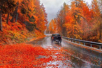 Autumn beauty, Car, Autumn, Falls, Leaves, Trees, Road HD wallpaper