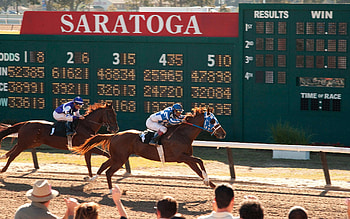 Secretariat, Race horse , Horse , 43 HD wallpaper