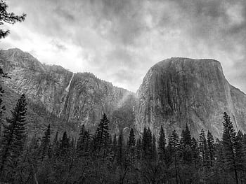 Black and white of El Capitan in Yosemite Valley, showcasing the majestic granite cliffs and pine forest. HD wallpaper