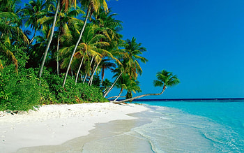 Tropical beach Cook Islands, Tropical landscape, Tropical paradise, Exotic beauty HD wallpaper