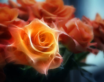 Magic roses, magic, roses, beaty, orange roses, beautiful HD wallpaper