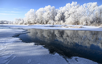 Frozen Lake, trees, winter, frozen, lake, snow HD wallpaper
