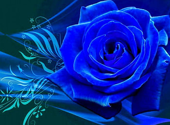 Blue Rose, artwork, colors, blossom, flower HD wallpaper